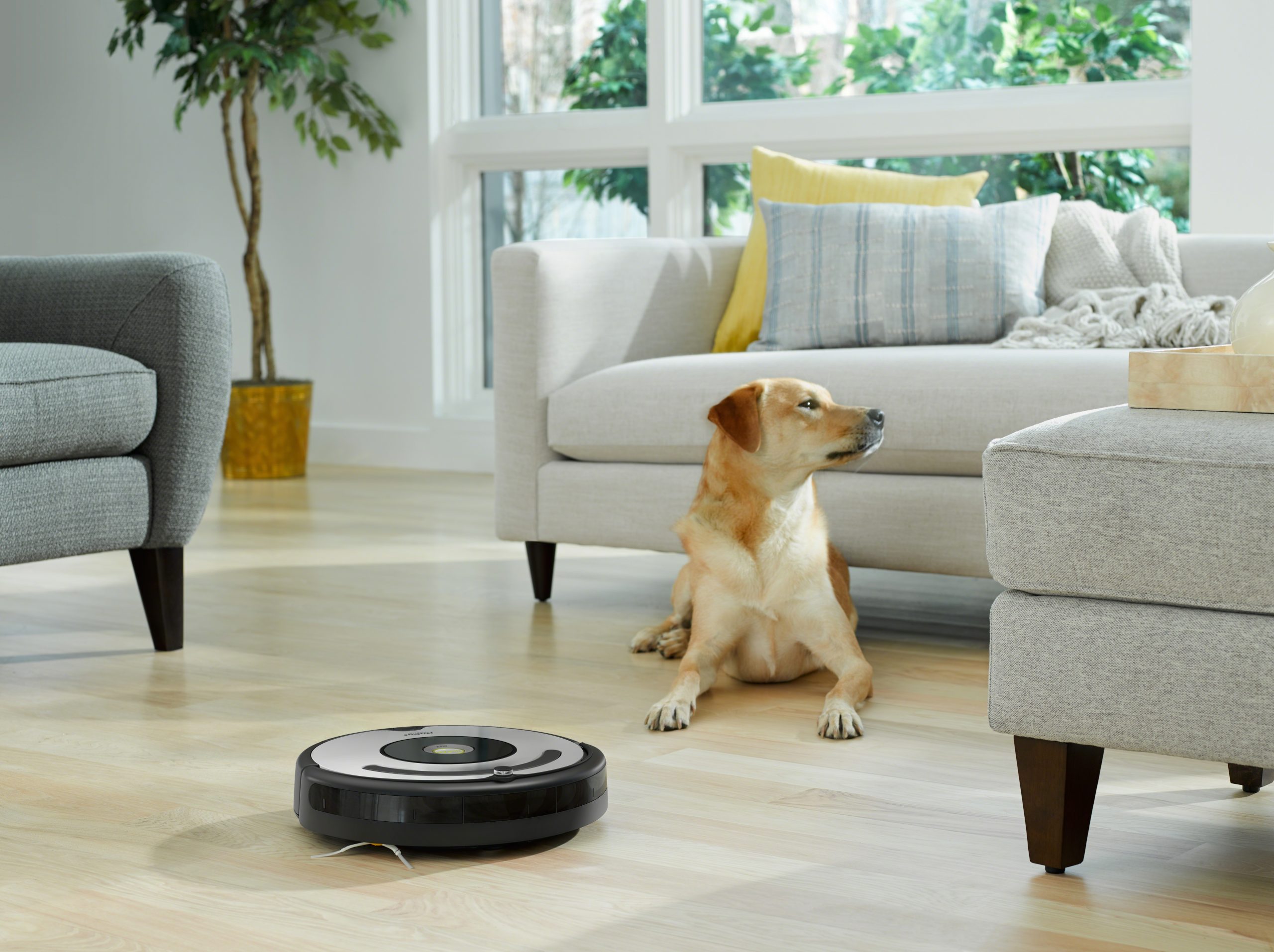 Robot Aspiradora iRobot Roomba i1 con Conexión Wi-Fi